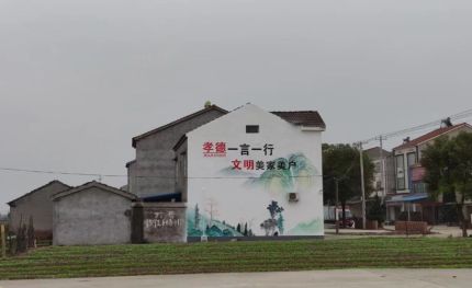 定边新农村墙绘
